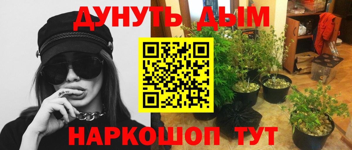 Бошки Шишки семена Гудермес